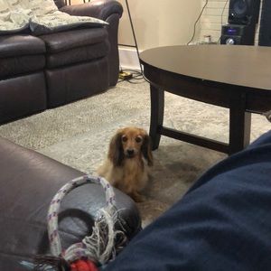 Meet your Posher, Jami